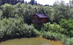 Cuibul Vulturilor - Casuta in Copac